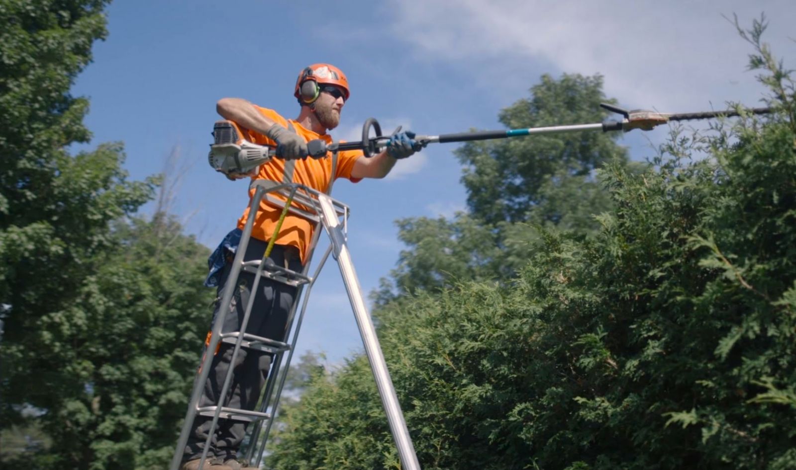 Arborist trimming shrubs with pole trimmer on elevated platform in Toronto
