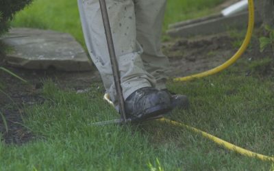 Fall Deep Root Fertilizer