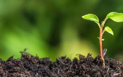 Spring is in the Air!!