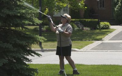 How to Properly Water Trees and Shrubs