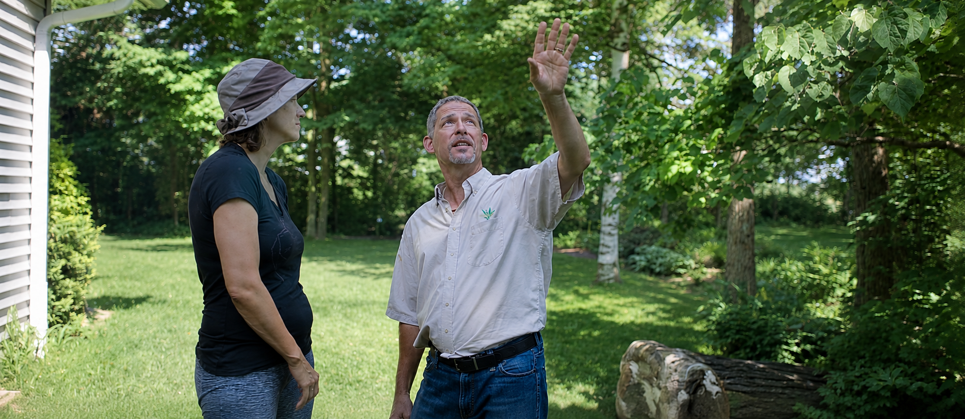 Tree Service consultation