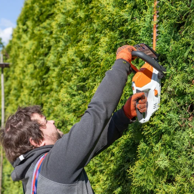 hedge trimming and shrub trimming work by Shady Lane