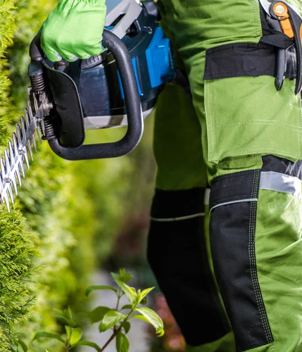 hedge trimming