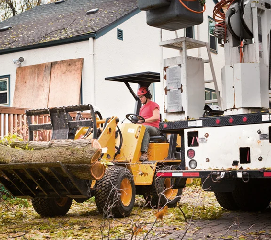Emergency Tree Service in Toronto