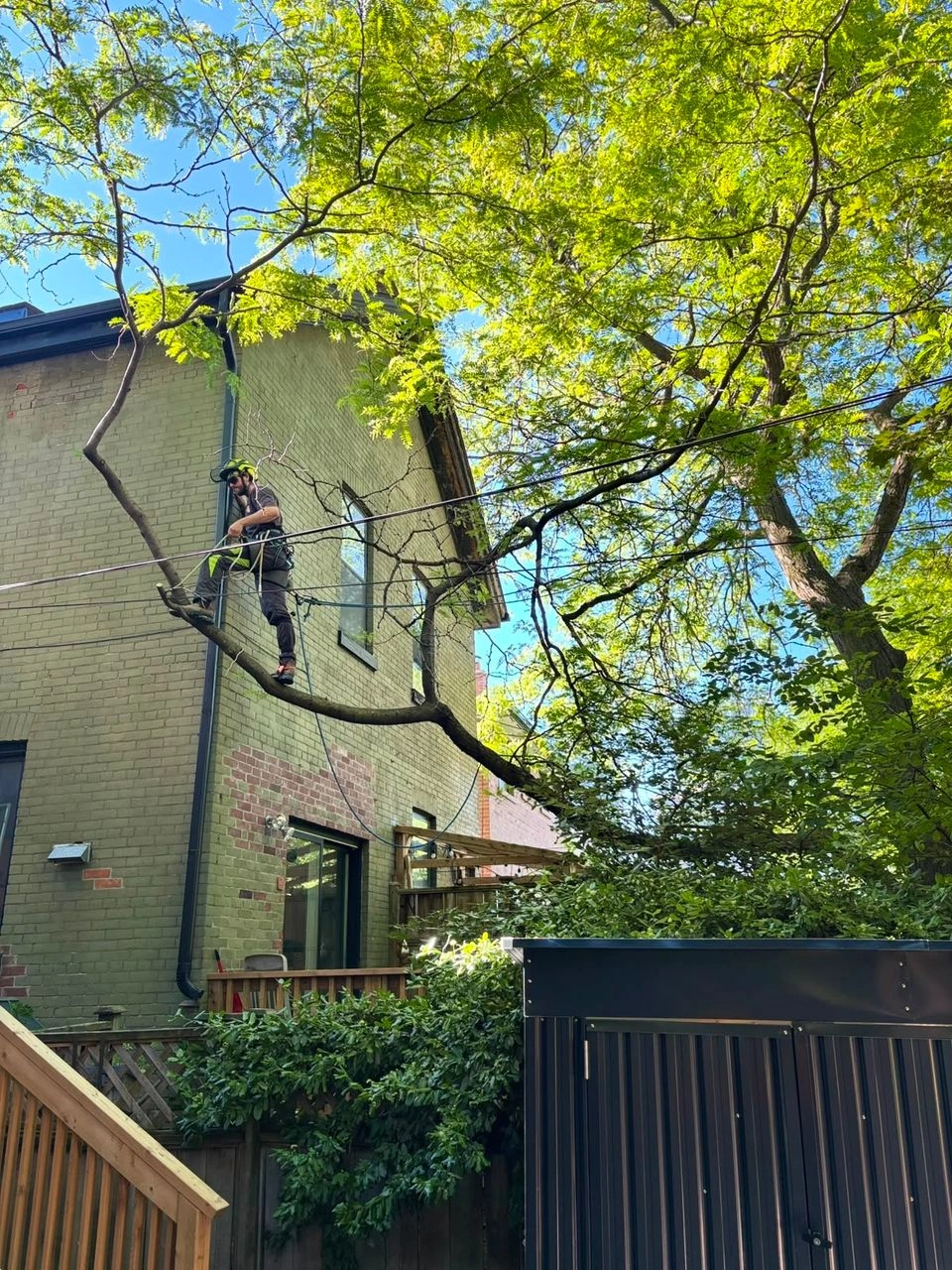 Shrub Pruning in Caledon