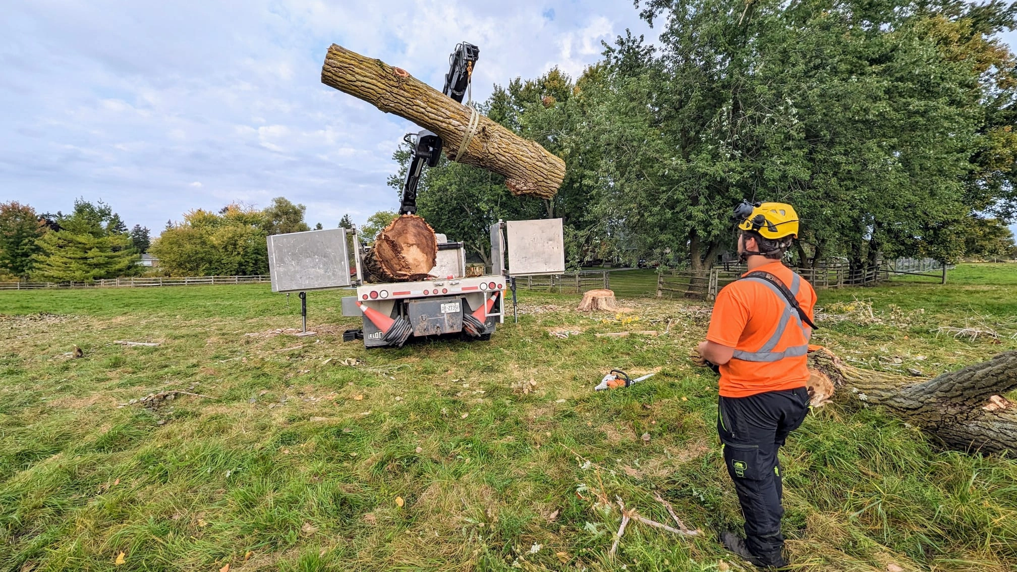 Emergency Tree Service in Toronto
