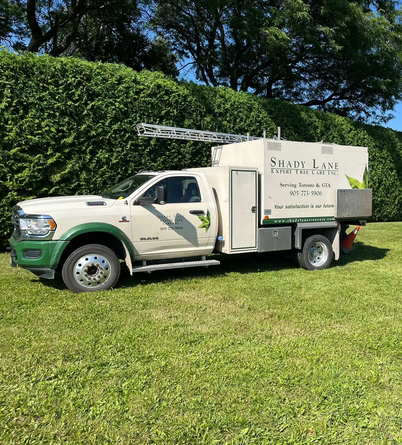 Toronto Hedge Trimming