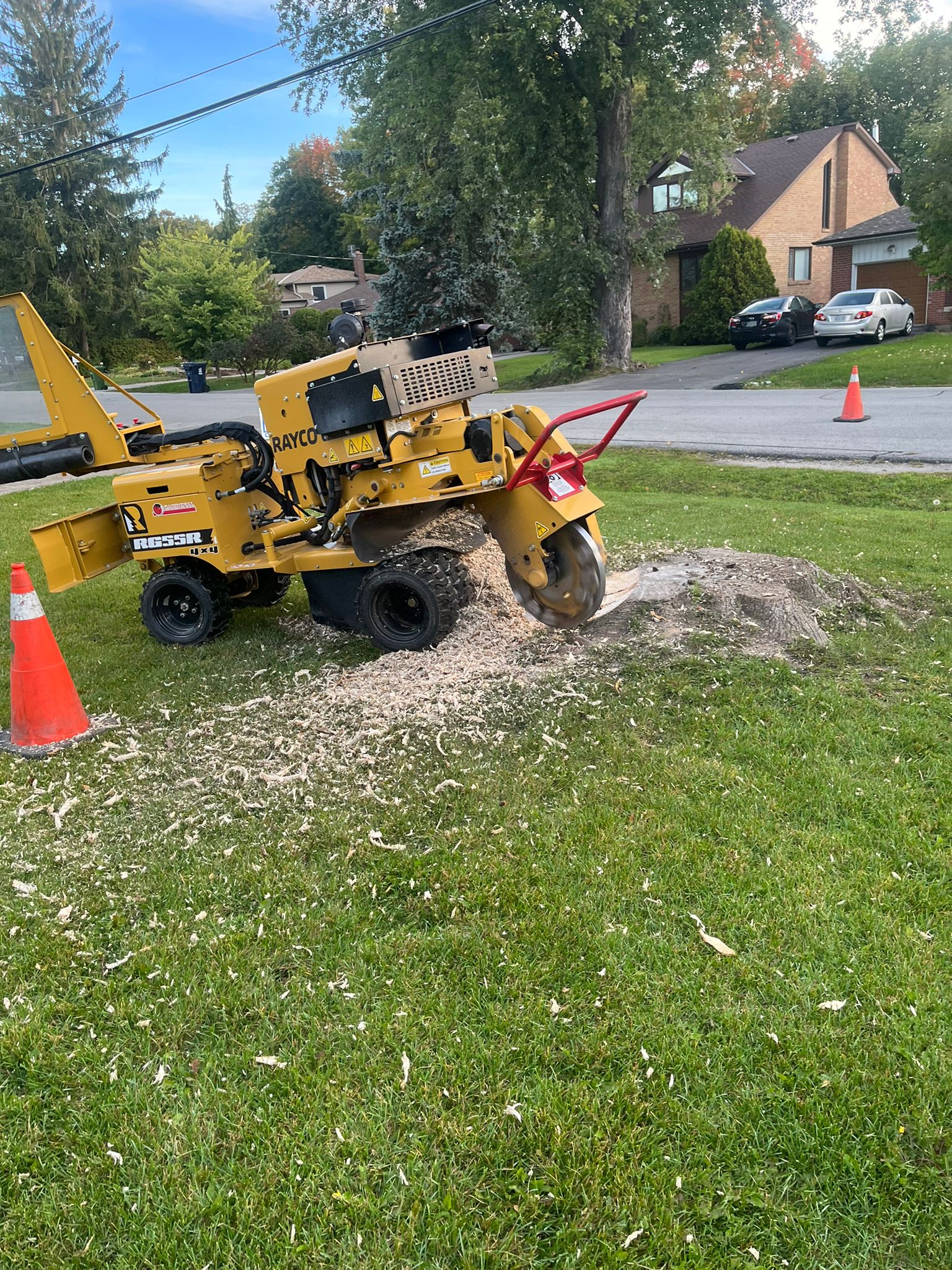 Large old tree stump in a yard in Toronto
